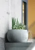 Květináč s vkladem BETON BOWL 37 cm - šedý Náhled obrázku produktu 7