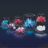 4M Crystal Growing Experimental Kit | 4M Anteprima dell’immagine prodotto 10