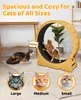 FCH Katzenlaufrad, Laufband für Katzen 100x36.5x106 cm, für Produktbild-Vorschau 6