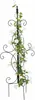 Relaxdays Supporto per rampicanti, A x L x P: 116 x 45 x 45 Anteprima dell’immagine prodotto 1