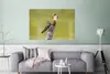 MuchoWow® Poster Vögel - Zweig - Porträt 120x80 cm - Bilder Produktbild-Vorschau 4