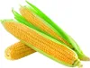 Véritables tortillas mexicaines avec nixtamal 500g 25-30 Voir les images du produit 2