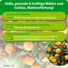 Purgrün -Zitrusdünger 1 Liter, Produktbild-Vorschau 3