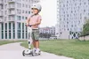 Scoot And Ride - Highwaykick 1- Ash Produktbild-Vorschau 15