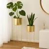 Atmosphera Créateur d'intérieur Présentoir à fleurs avec Voir les images du produit 6