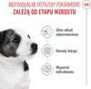 Royal Canin Mini Puppy, Welpe, Geflügel, 8 kg Produktbild-Vorschau 8