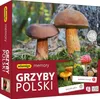 ADAMIGO Pexeso Grzyby Polski 07912 Náhled obrázku produktu 5