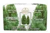 Nesti Dante Colli Fiorentini Cypress Tree (Seife, Náhľad obrázku produktu 2