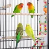Cage à oiseaux 591471, cage à oiseaux avec jouets, avec Voir les images du produit 6