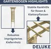 DELUKE® Rosenbogen aus Holz VERSIL | 150x60x210cm | Produktbild-Vorschau 3