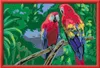 Bunte Papageien Ravensburger 23770 Produktbild-Vorschau 1