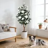 Sztuczne drzewko kamelii, białe, wysokie, 150cm, roślina Podgląd zdjęcia produktu 2