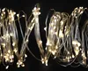 A close-up view of a string of fairy lights with many small LED bulbs. Produktbild-Vorschau
