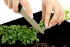 Hands chopping green onions on a black surface with coffee beans scattered around. Náhľad obrázku produktu