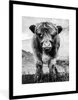 MuchoWow® Gerahmtes Poster Schottischer Highlander - Berg - Produktbild-Vorschau 1