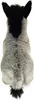 Teddy-Hermann Teddy Hermann Esel stehend 27 cm Produktbild-Vorschau 2