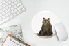 MuchoWow® Mauspad Mousepad Bär - Grizzly - Tiere 20x20 cm - Produktbild-Vorschau 5