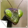 MuchoWow® Produktbild-Vorschau 1