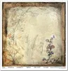 Scrapbooking-Papier Set 30×30 cm – SLS-049 Herbarium 2 – Produktbild-Vorschau 4