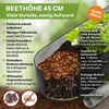 TTL GARDEN Hochbeet ELEGANCE XXL 400x80x45cm Anthrazit – Produktbild-Vorschau 5