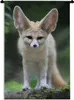 MuchoWow® Wandteppich Wandbehang Fuchs - Wald - Natur 60x90 Produktbild-Vorschau 1