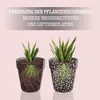 LERAVA® Perlite für Pflanzen  - 3L - Optimale Blumenerde Produktbild-Vorschau 4