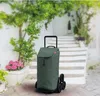 A green shopping trolley is placed on a stone pathway in front of a white staircase with greenery and potted plants. Anteprima dell’immagine prodotto
