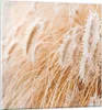 Bilder auf glas - Einteilig - Gras Boho Licht - 60x60cm - Produktbild-Vorschau 1