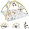 Fisher-Price Speelmat voor Baby's (Simply Senses, Sensimals Productafbeelding-voorbeeld 8