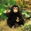 Folkmanis 2877, Handpuppe, Tier, 1 Stück(e) Produktbild-Vorschau 2