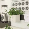 LECHUZA Green Wall Home Kit, Kvetináč, Nástenný, Náhľad obrázku produktu 10