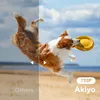 A split image showing a dog catching a frisbee on a beach. The left side is pixelated and labeled 'Others', while the right side is clear and labeled '720P Akiyo'. Produktbild-Vorschau
