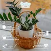 Creative Home Cestino in Vimini Piccolo con Manico | Cesto Anteprima dell’immagine prodotto 3