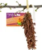 JR Farm Birds Dari-Kolben 100 g - 10 Stück Produktbild-Vorschau 3