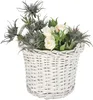 KOTARBAU® Blumentopf geflochten Korb geflochten Weidenkorb Produktbild-Vorschau 8