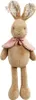 Lapin Flopsy en peluche arc-en-ciel avec longues oreilles Voir les images du produit 1