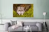 MuchoWow® Poster Grauer Zwerghamster 120x80 cm - Bilder Produktbild-Vorschau 5