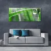 Acrylglasbilder 125x50 Wandbild Druck Gras Tautropfen Produktbild-Vorschau 3
