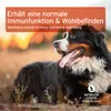 AniForte Immun-Boost Snack für Hunde 300g - Natürliche Produktbild-Vorschau 6