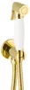 PaulGurkes Bidet Gold Spraybrause Unterputz Bidet-Set Produktbild-Vorschau 1