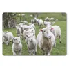 MuchoWow® Schreibtischunterlage Schafe - Gras - Lamm 60x40 Produktbild-Vorschau 1