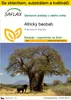 SAFLAX Kultivační sada - Africký baobab - Adansonia Náhled obrázku produktu 1