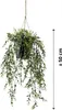 Emerald Kunstpflanze Buchsbaum Hängend in Topf 50 cm Produktbild-Vorschau 4