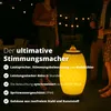 FLINQ BALI Bluetooth-Lautsprecher, wasserabweisendes Produktbild-Vorschau 2