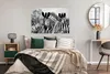 MuchoWow® Poster Zebra - Schwarz - Weiß - Tiere 120x80 cm - Produktbild-Vorschau 4