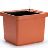 Zavlažovací kvetinový box "Berberis UNO Náhľad obrázku produktu 7