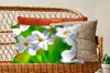 MuchoWow® Zierkissen Sofakissen Wohnzimmer Dekokissen 60x40 Produktbild-Vorschau 5