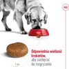 Royal Canin Maxi Adult 5+, Dorosły, Maxi (26 - 44 kg), Podgląd zdjęcia produktu 4