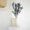 Ruscus conservé - Fleurs séchées de fragon - 1 à 5 tiges Voir les images du produit 10