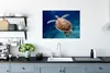 MuchoWow® Poster Eine unter Wasser schwimmende Schildkröte Produktbild-Vorschau 3